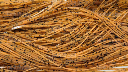 Natural Pumpkin Black Speckled Silicone Skirt Tab – Nature’s Edge Series (8802-532)