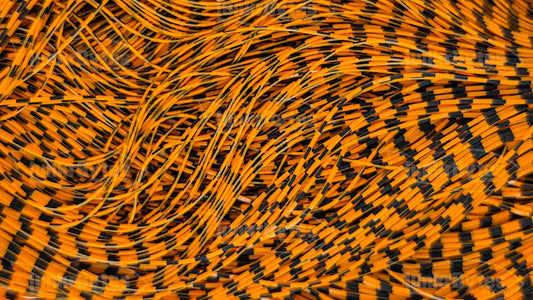 Tangerine Orange / Black Wide Zebra Stripe Silicone Skirt Tab, Reaction Strike Trigger for Bass (8818-X001)