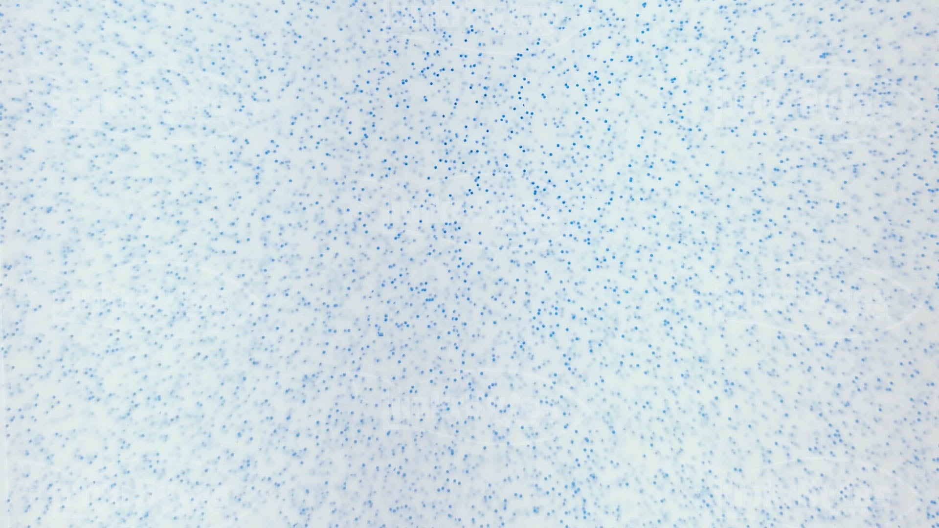 LunkrBytes LB-SHEETS-8801-257 White / Blue Flake uncut silicone skirt sheet, 155 x 142 mm solid unsliced panel for cutting custom jig and spinnerbait skirts