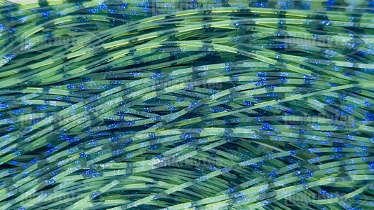 Pumpkin / Blue Flake Scales Silicone Skirt Tab with Flake – Crawfish Pattern for Bass (8803-626)