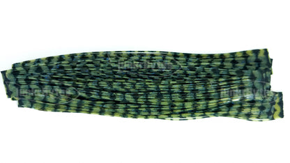 Watermelon Silicone Skirt Tab with Flake – Bluegill Pattern for Bass (8806-649)