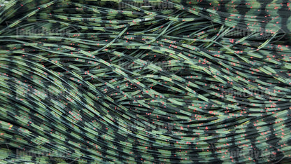 Watermelon Barbed Wire Red Flake Silicone Skirt Tab – Barbed Wire Series (8806-688)