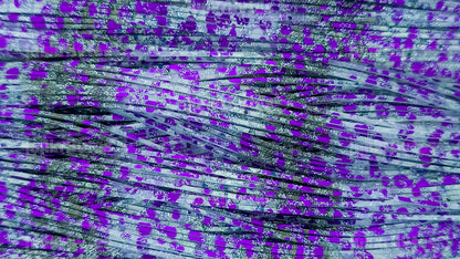 Violet Shad With Silver Flake Scales Silicone Skirt Tab with Flake – Shad Imitation for Bass (8854-405)